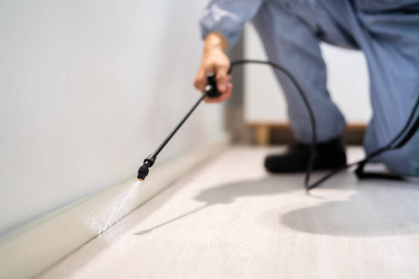 Licensed Pest Control service in Middleborough Center, MA - Show Me Pest Control