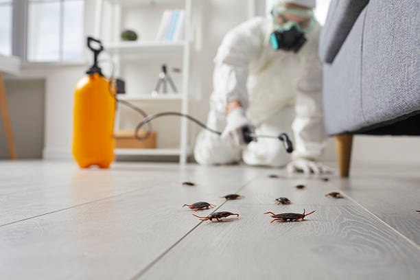 Commercial Kitchen Cockroach Control in Middleborough Center
